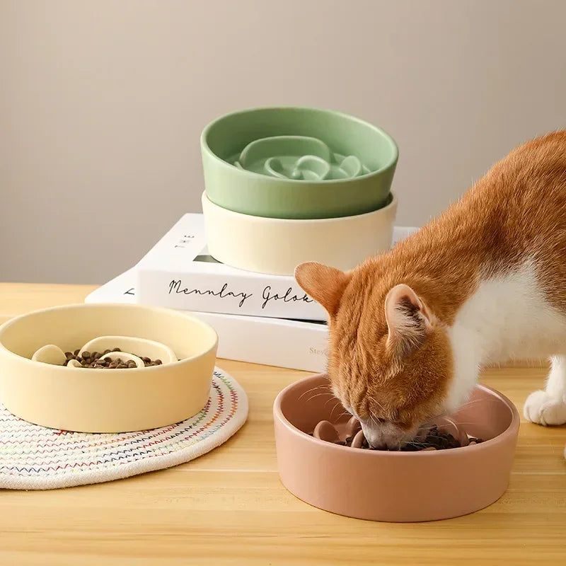 Large Ceramic Slow Feeder Bowl