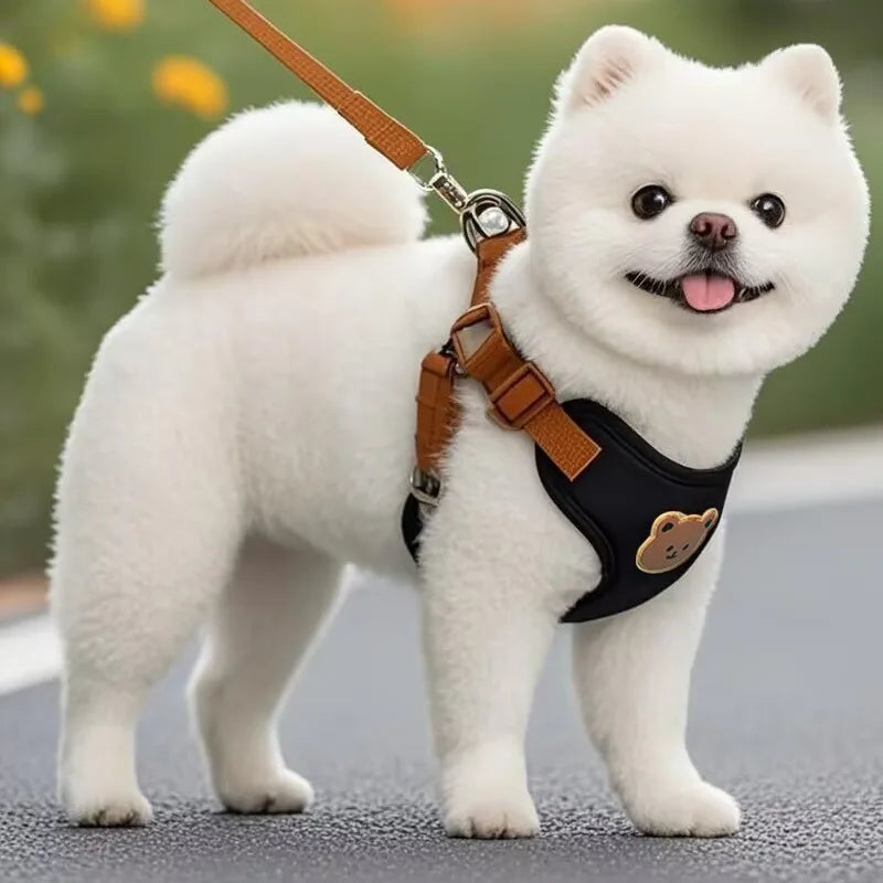 Breathable Pet Harness & Leash Set