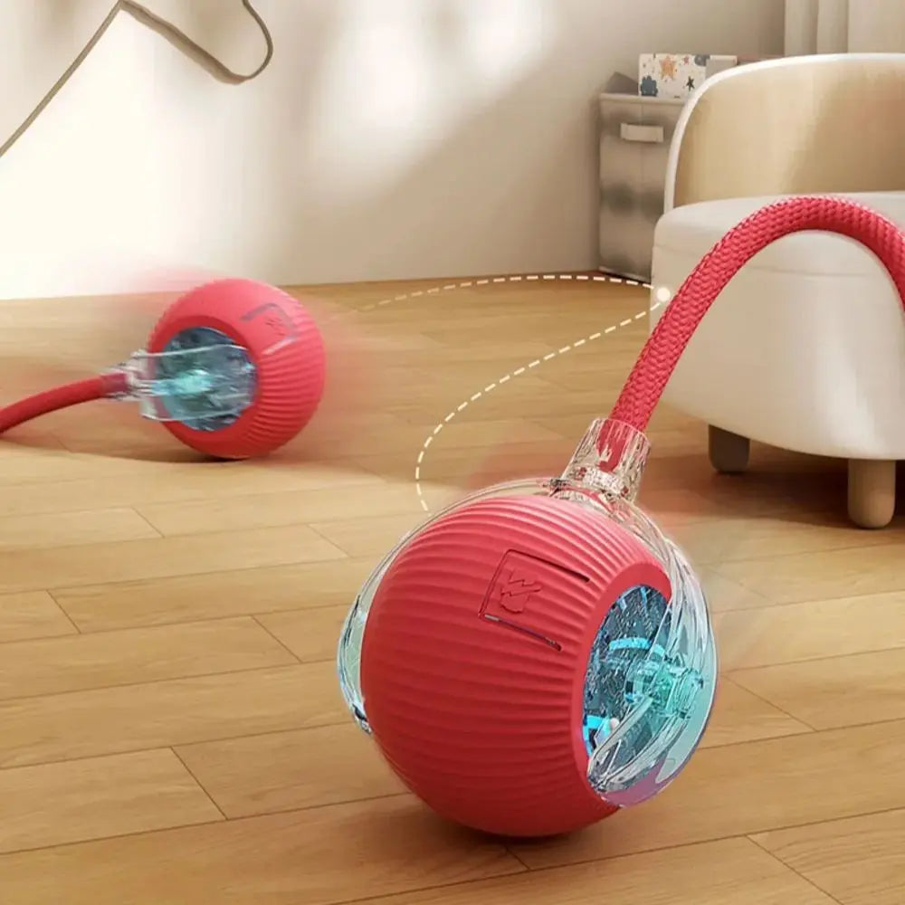 Interactive Cat Toy Ball with Faux Tail