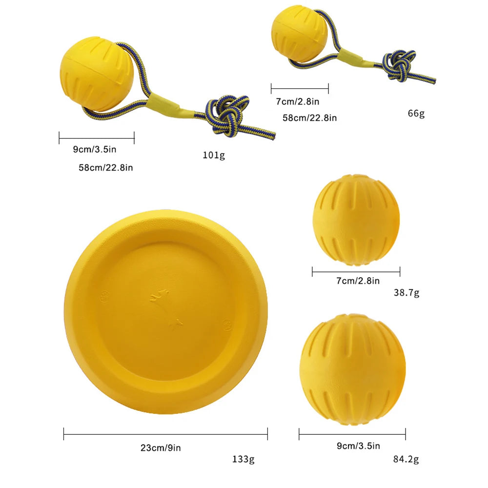 Dog Training Ring Toy