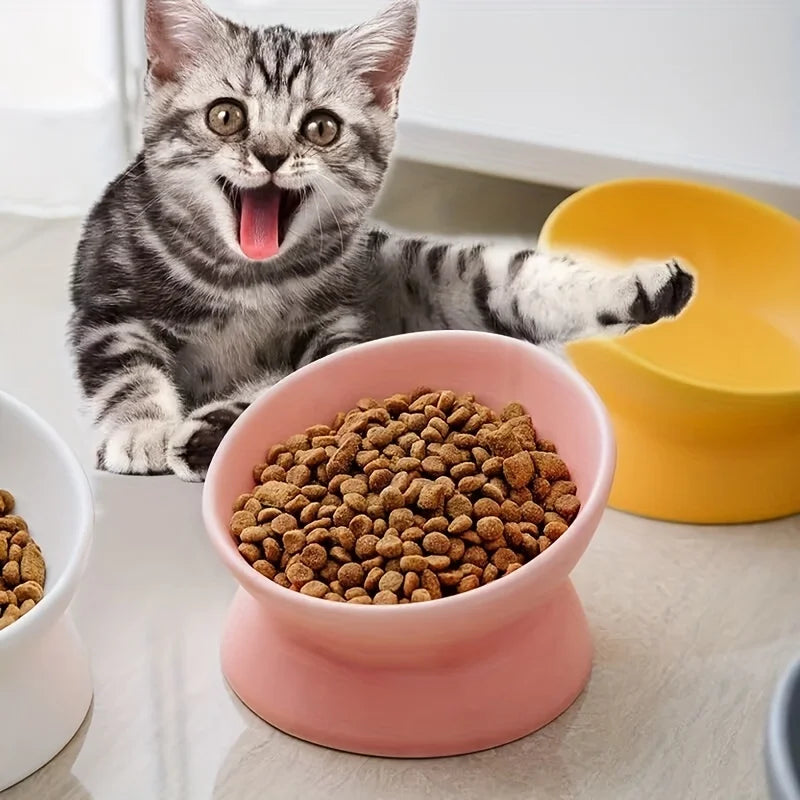 Ceramic Raised Cat Bowl Set with Elevated Stand
