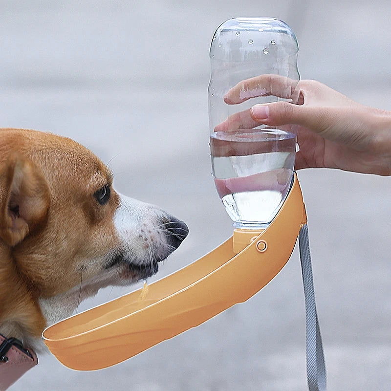 Portable Dog Water Bottle with Foldable Bowl
