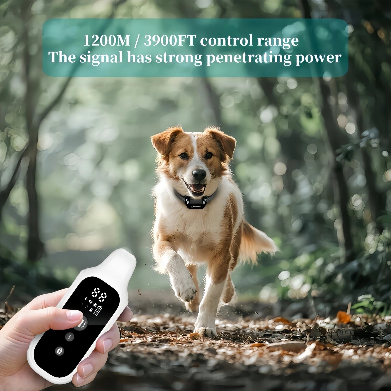 Waterproof Dog Training Collar with Remote