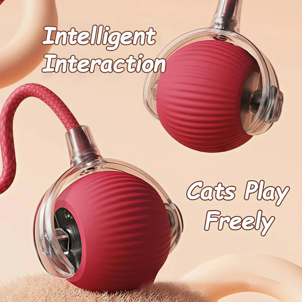 Interactive Cat Toy Ball with Faux Tail