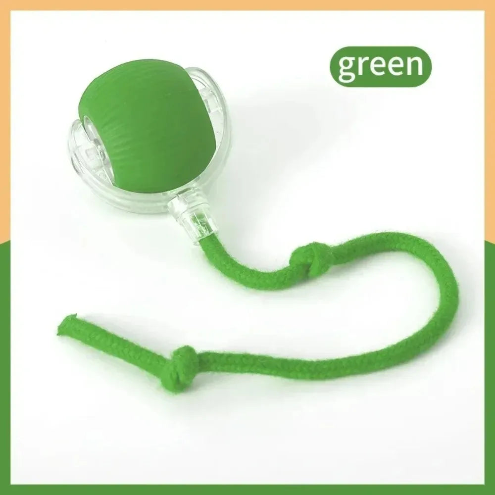 Interactive Cat Toy Ball with Faux Tail