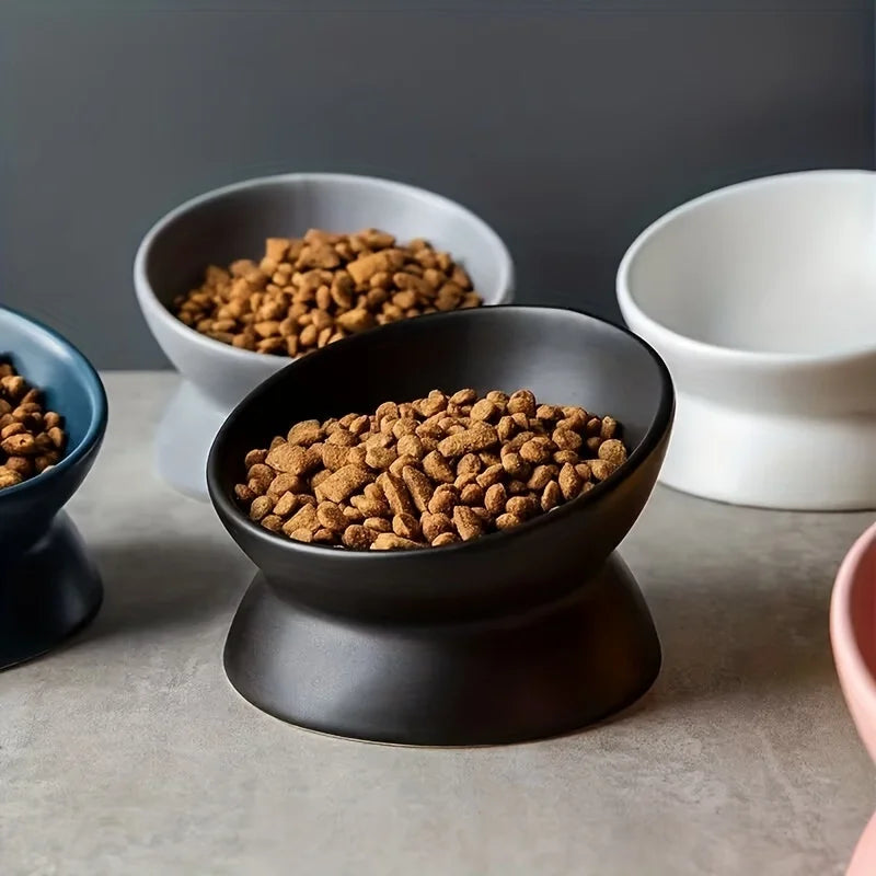Ceramic Raised Cat Bowl Set with Elevated Stand