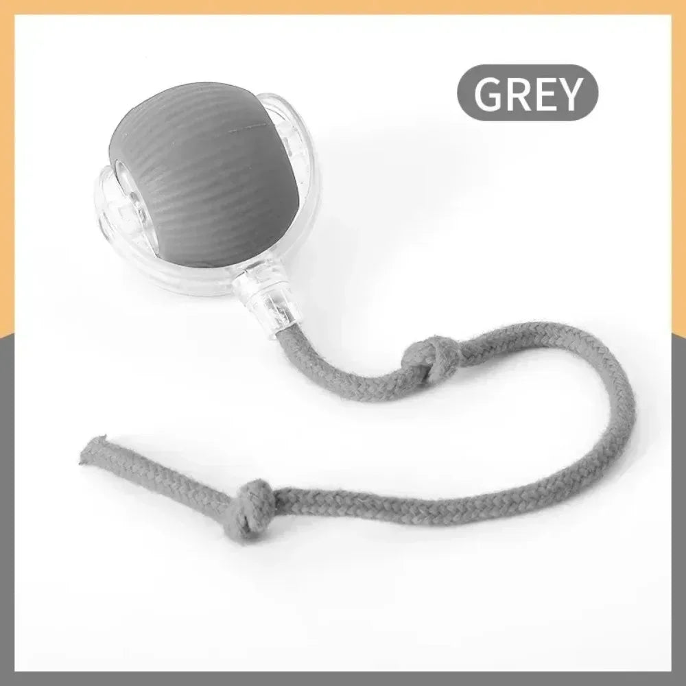 Interactive Cat Toy Ball with Faux Tail