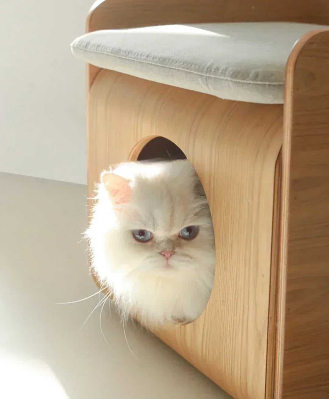 Curved Wood Cat Bedside Table