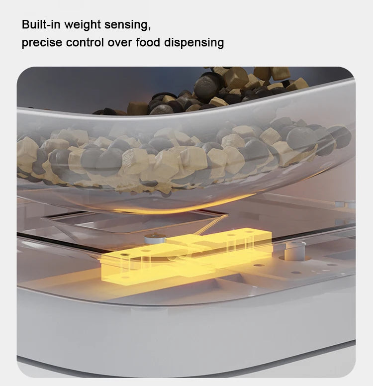 Smart Pet Feeder & Water Dispenser