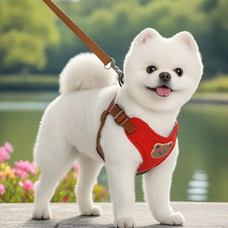 Breathable Pet Harness & Leash Set