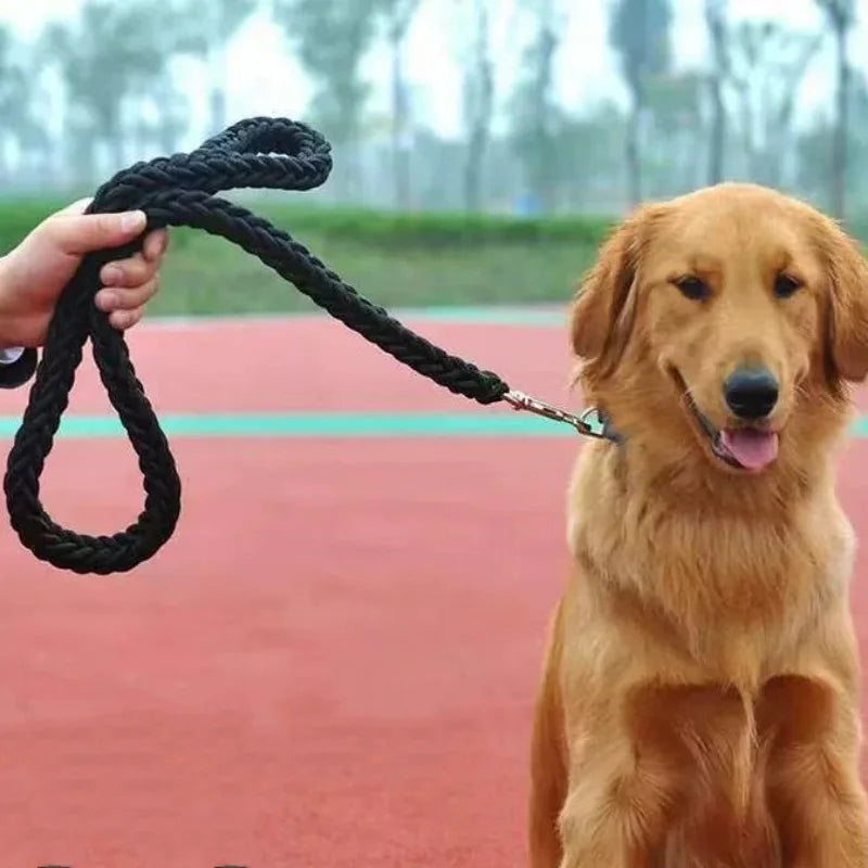 Heavy-Duty Nylon Dog Leash