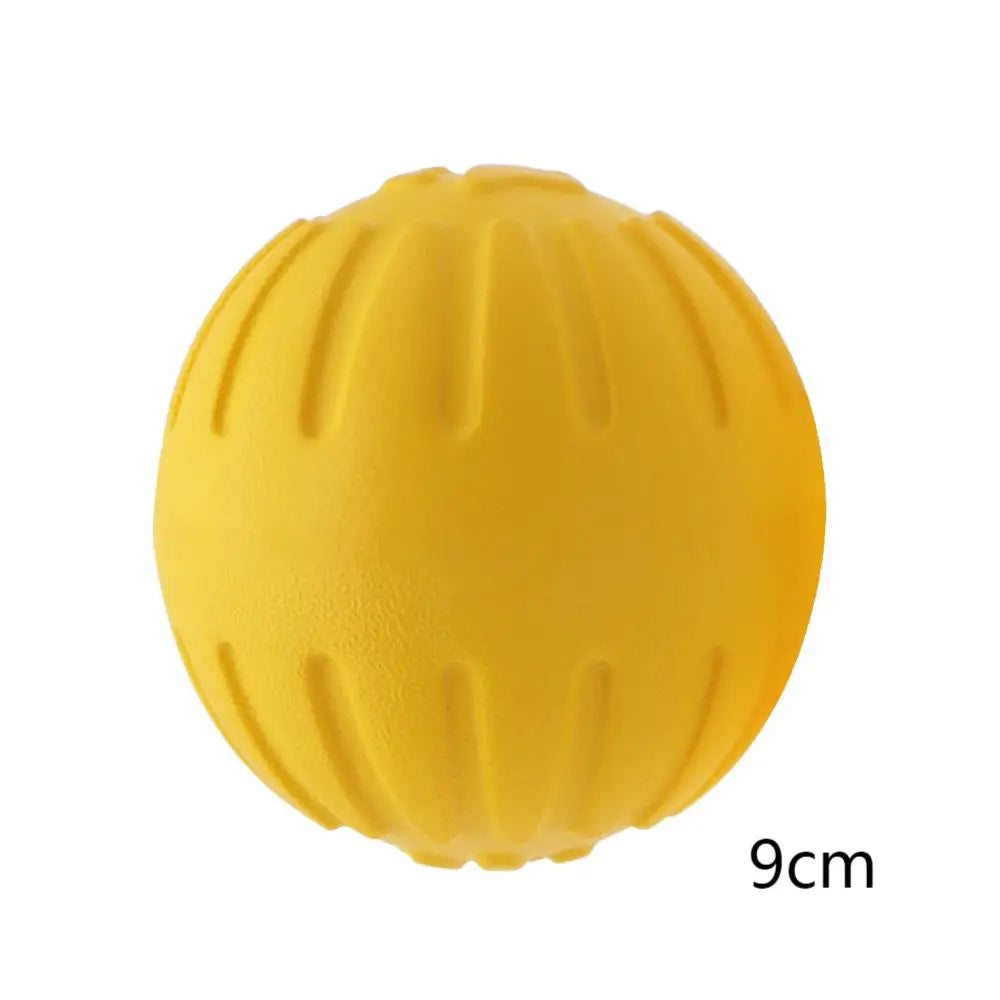 Dog Training Ring Toy