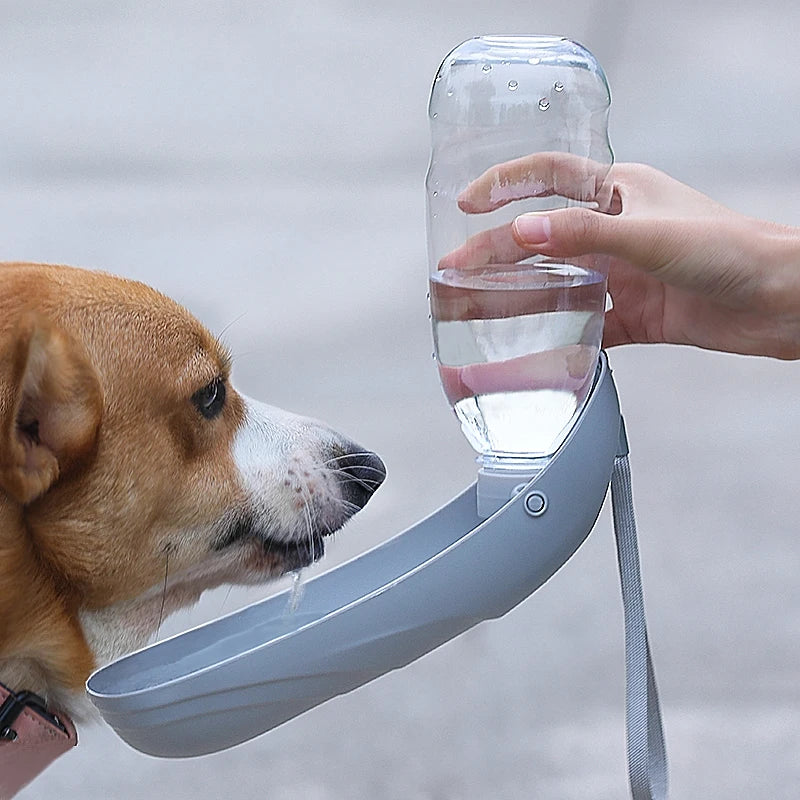 Portable Dog Water Bottle with Foldable Bowl