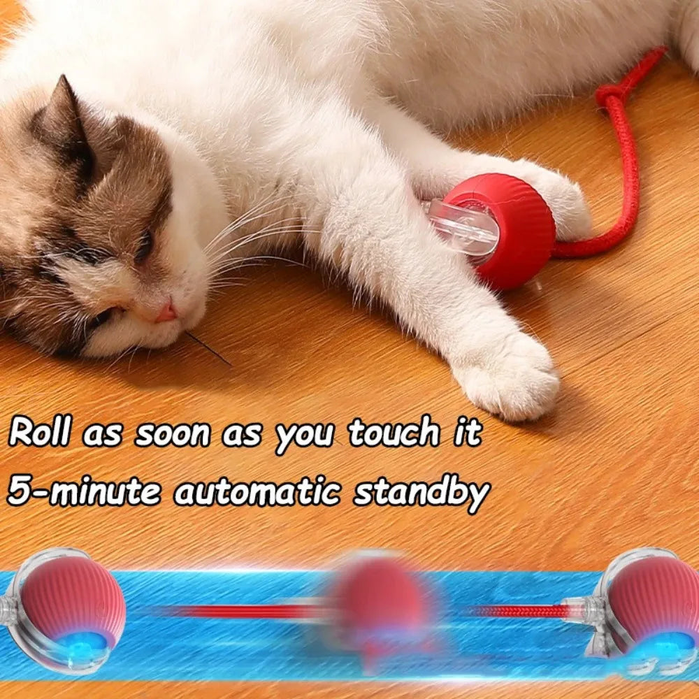 Interactive Cat Toy Ball with Faux Tail