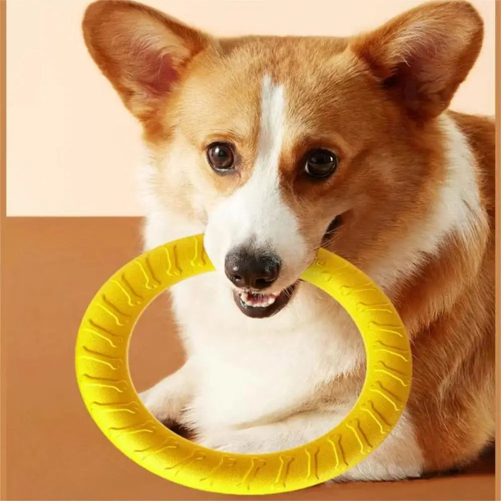 Dog Training Ring Toy
