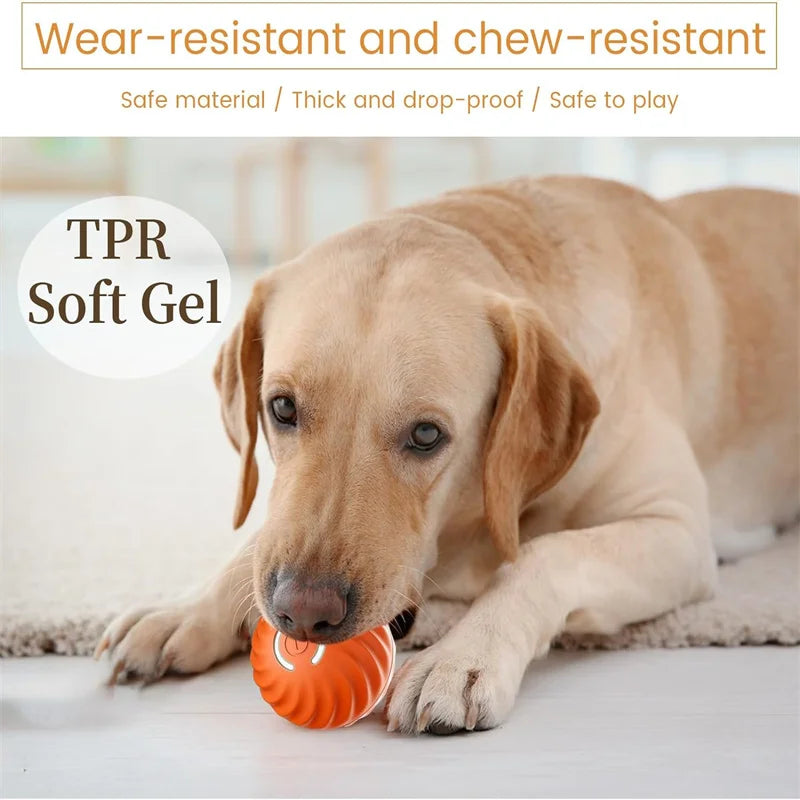 Interactive Smart Pet Toy Ball