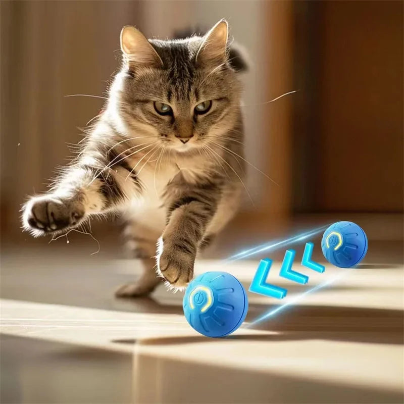 Interactive Smart Pet Toy Ball