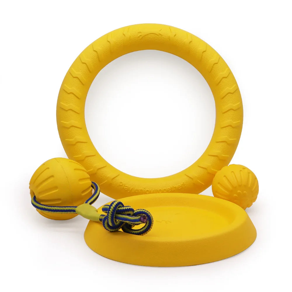Dog Training Ring Toy