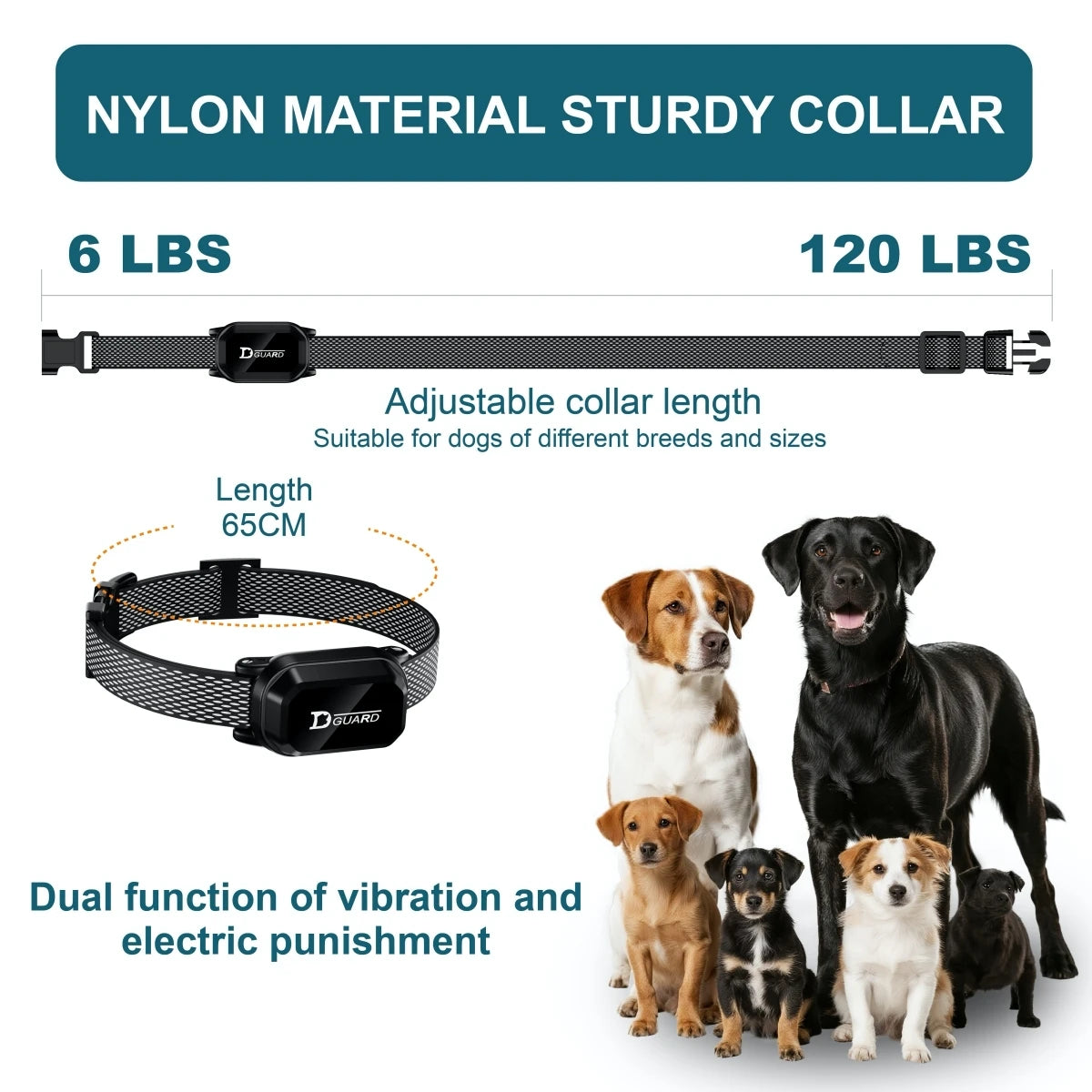Waterproof Dog Training Collar with Remote
