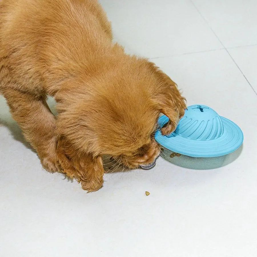 Interactive Dog Treat Ball