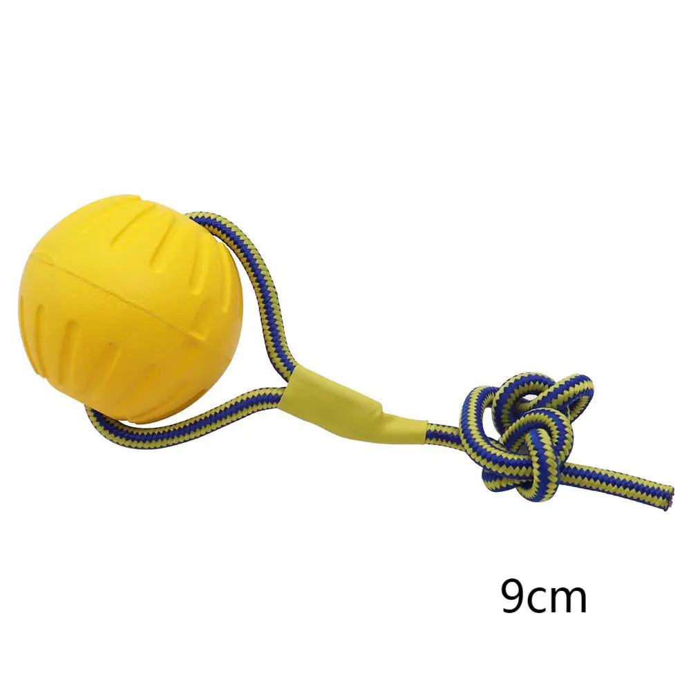Dog Training Ring Toy