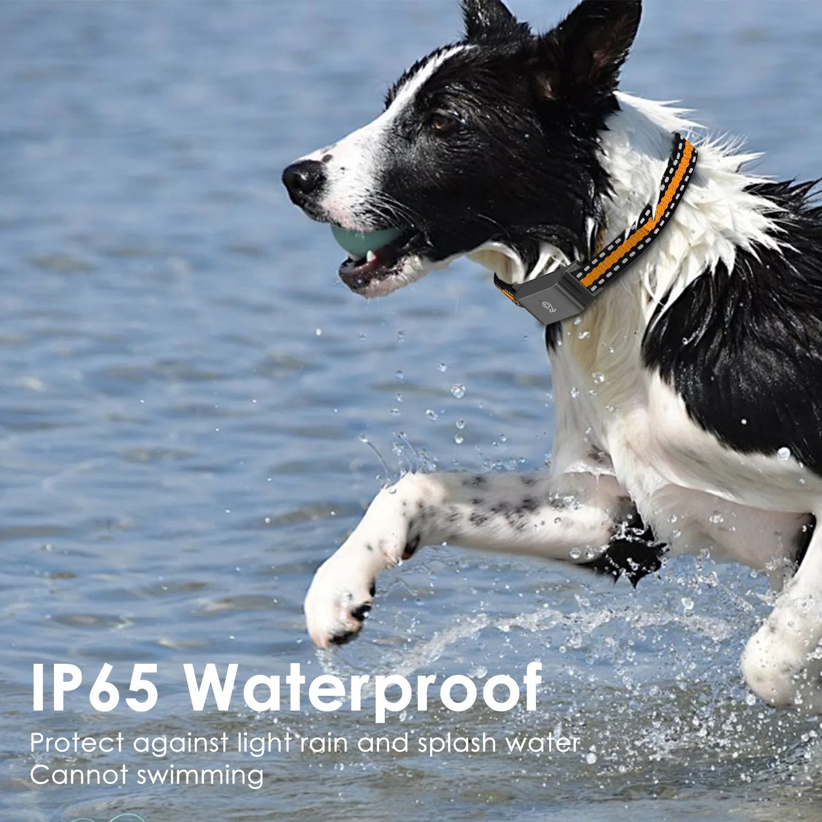 Pet Tracker Collar with Real-Time Tracking