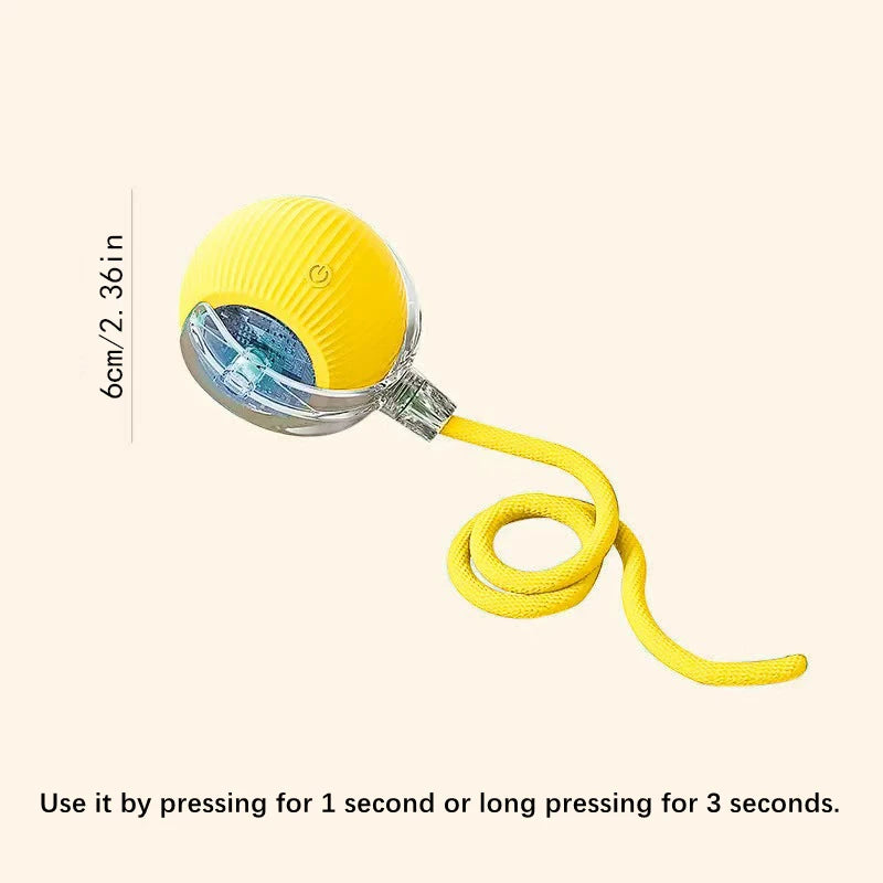 Interactive Smart Pet Toy Ball