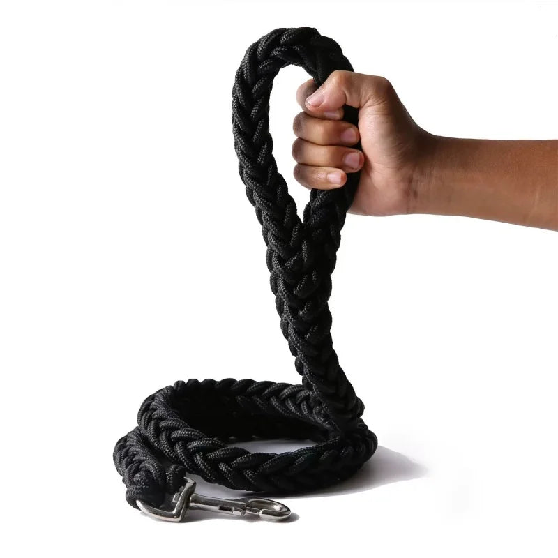 Heavy-Duty Nylon Dog Leash