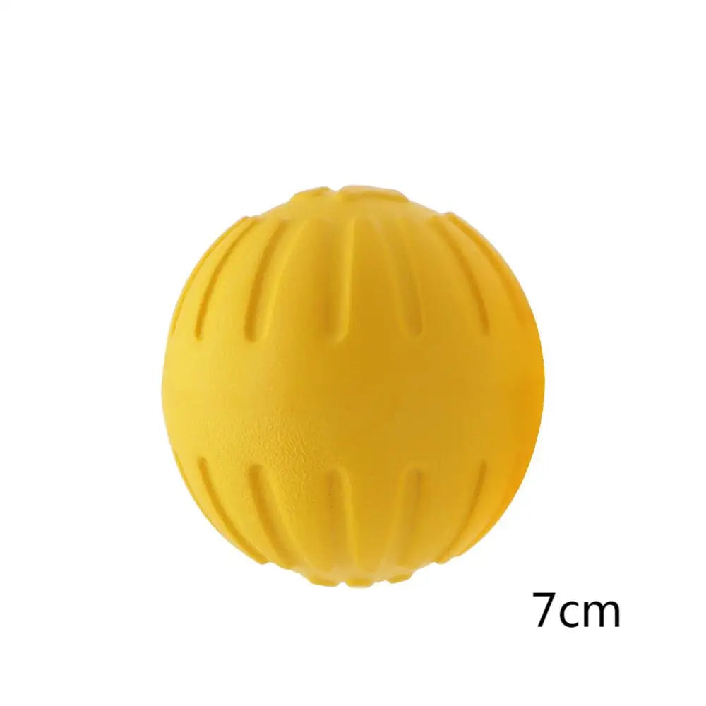 Dog Training Ring Toy