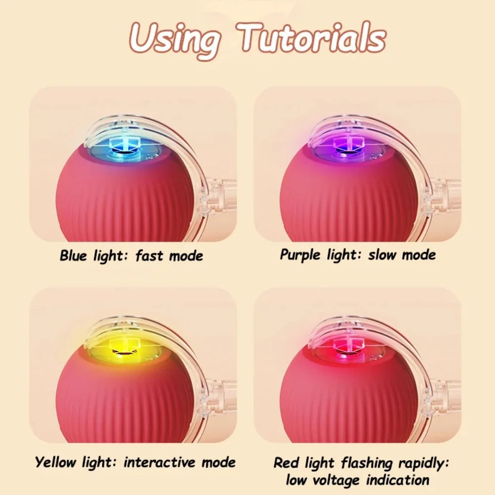 Interactive Cat Toy Ball with Faux Tail