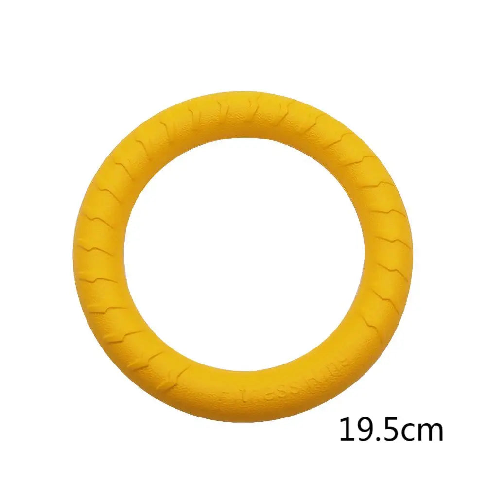 Dog Training Ring Toy