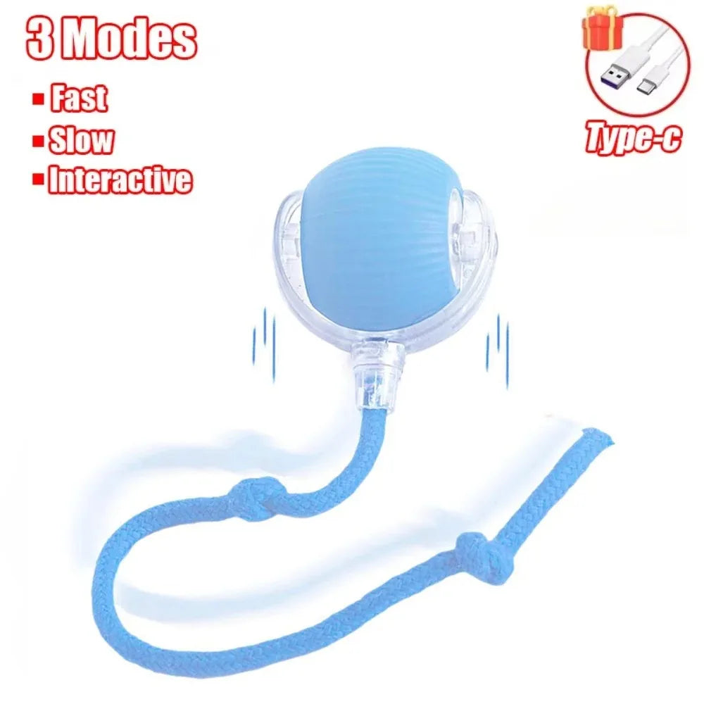 Interactive Cat Toy Ball with Faux Tail