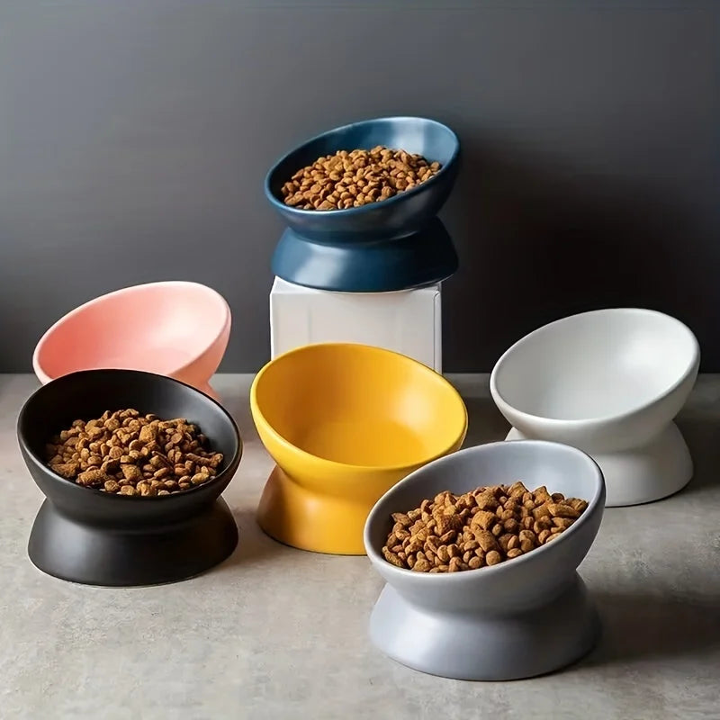Ceramic Raised Cat Bowl Set with Elevated Stand