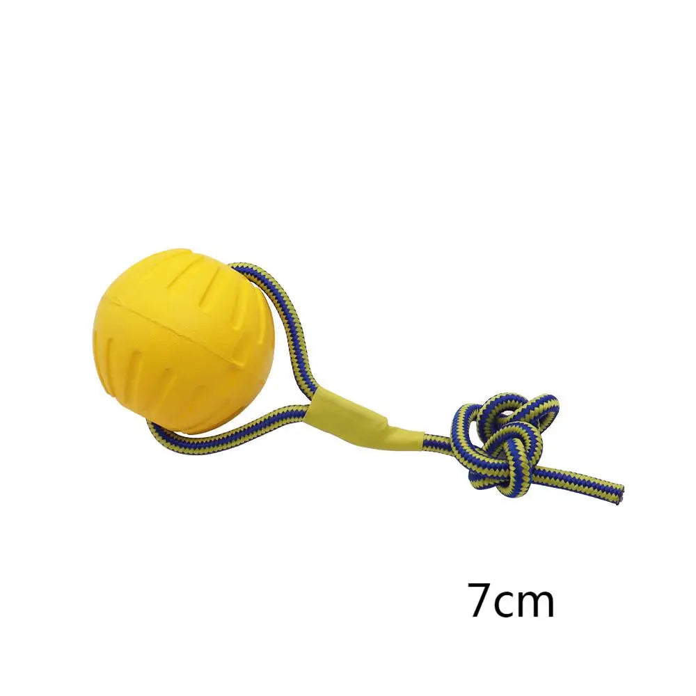 Dog Training Ring Toy