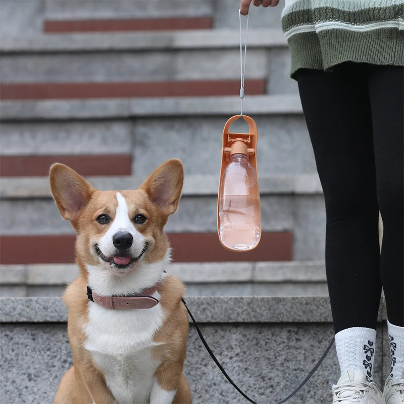 Portable Dog Water Bottle with Foldable Bowl