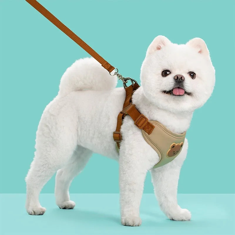 Breathable Pet Harness & Leash Set
