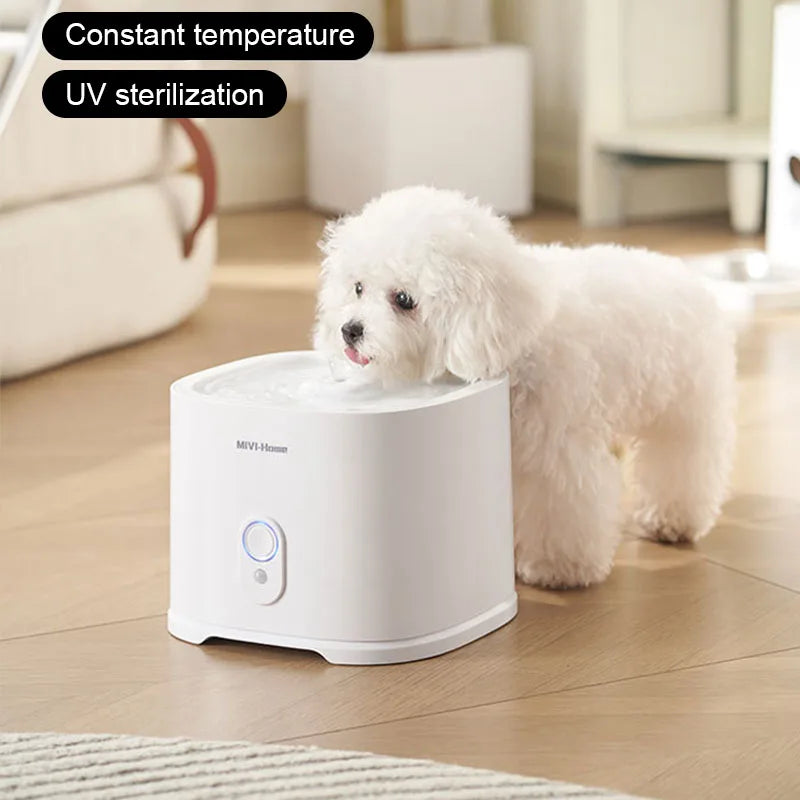 Rechargeable Pet Water Fountain