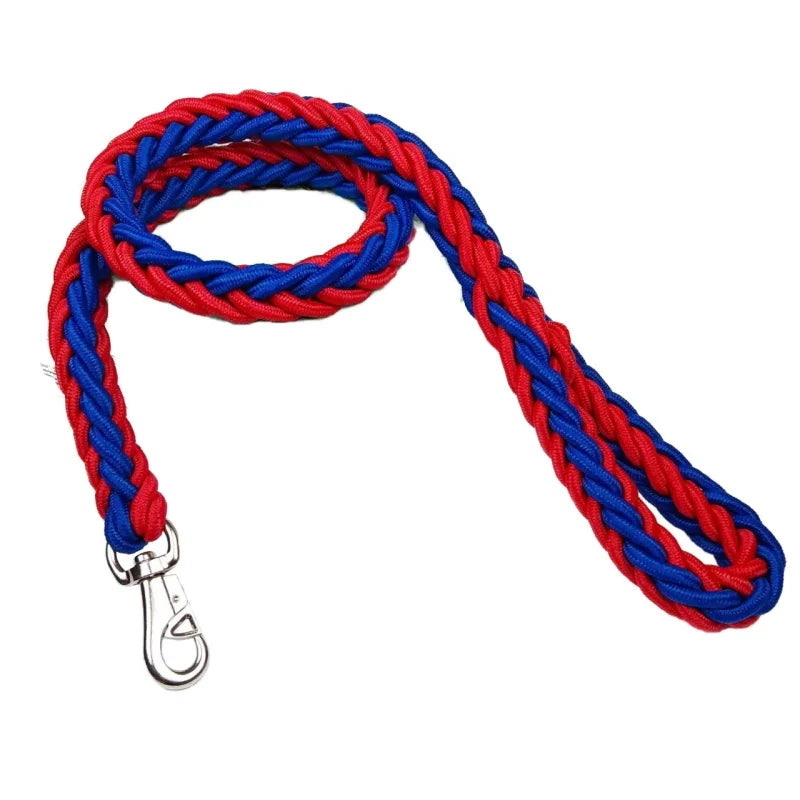 Heavy-Duty Nylon Dog Leash