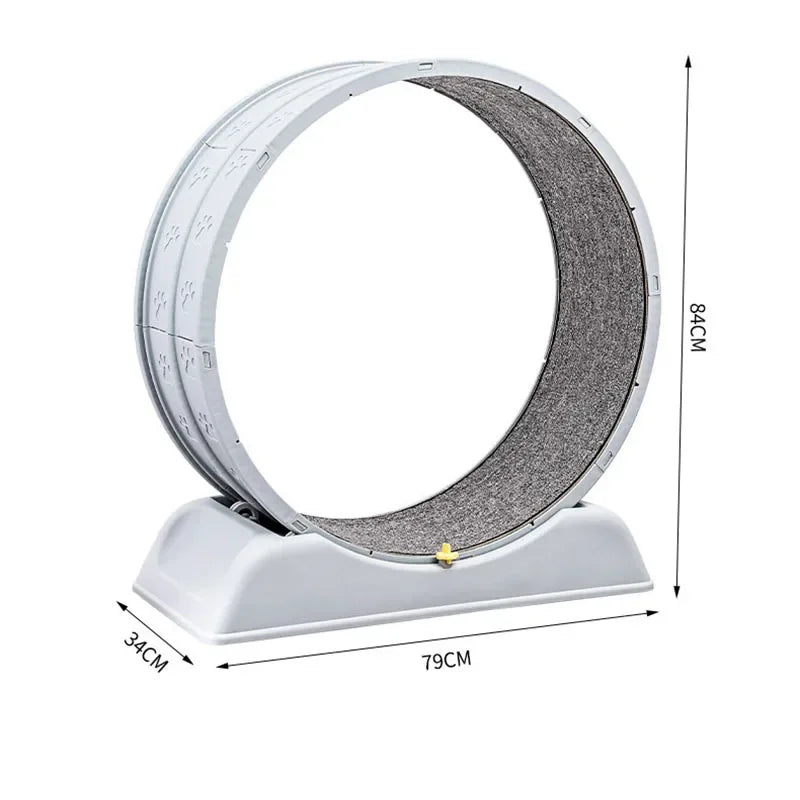 Silent Cat Exercise Wheel