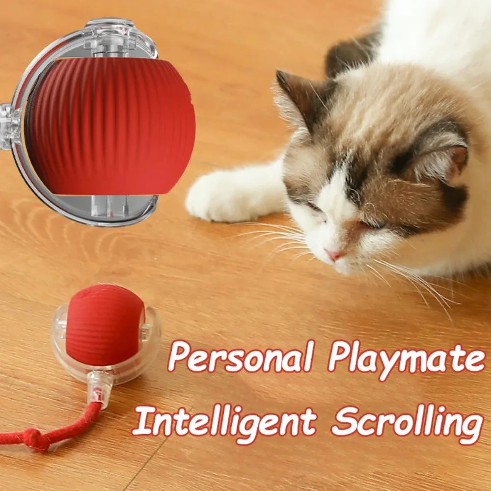 Interactive Cat Toy Ball with Faux Tail
