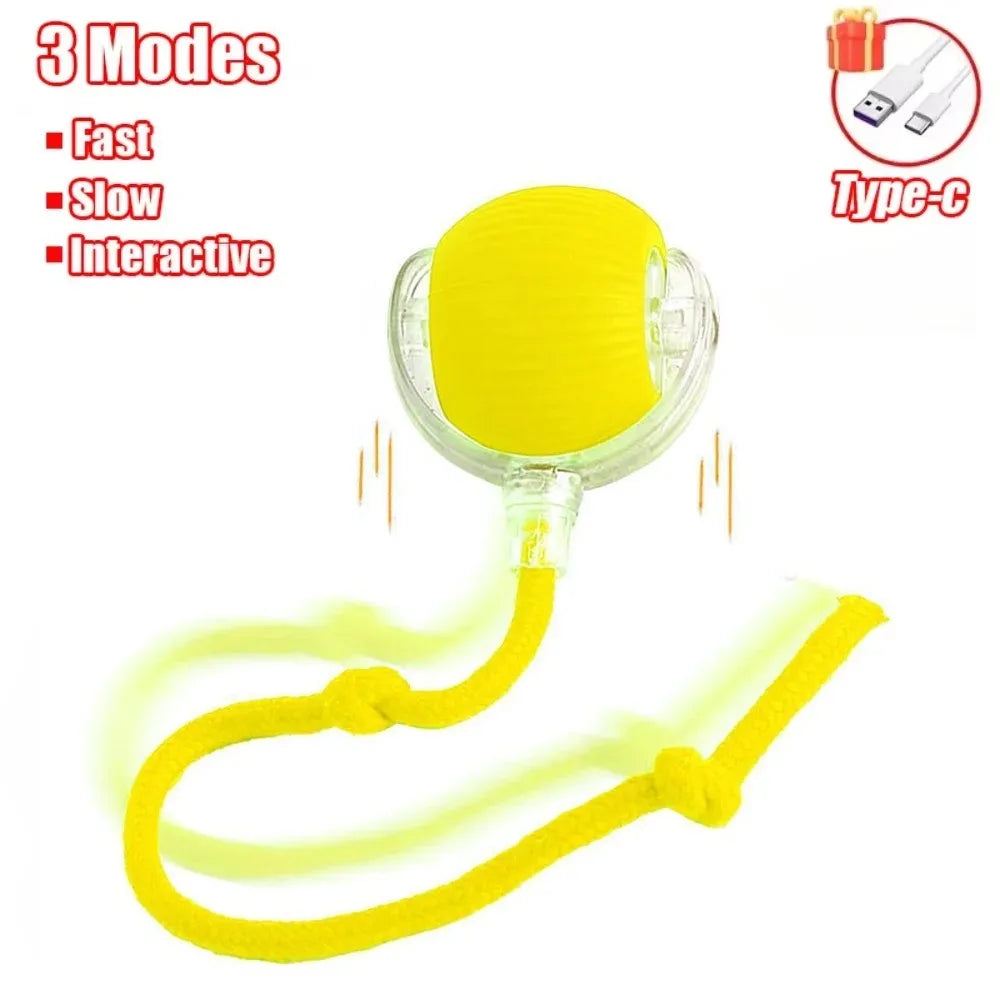 Interactive Cat Toy Ball with Faux Tail
