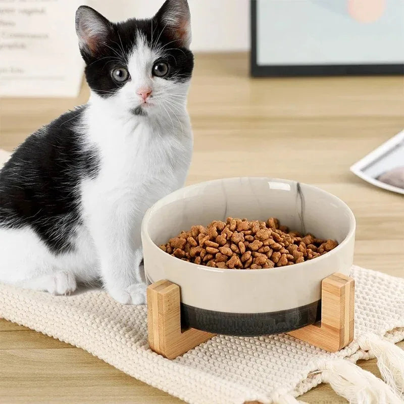 Ceramic Pet Bowl with Wooden Stand