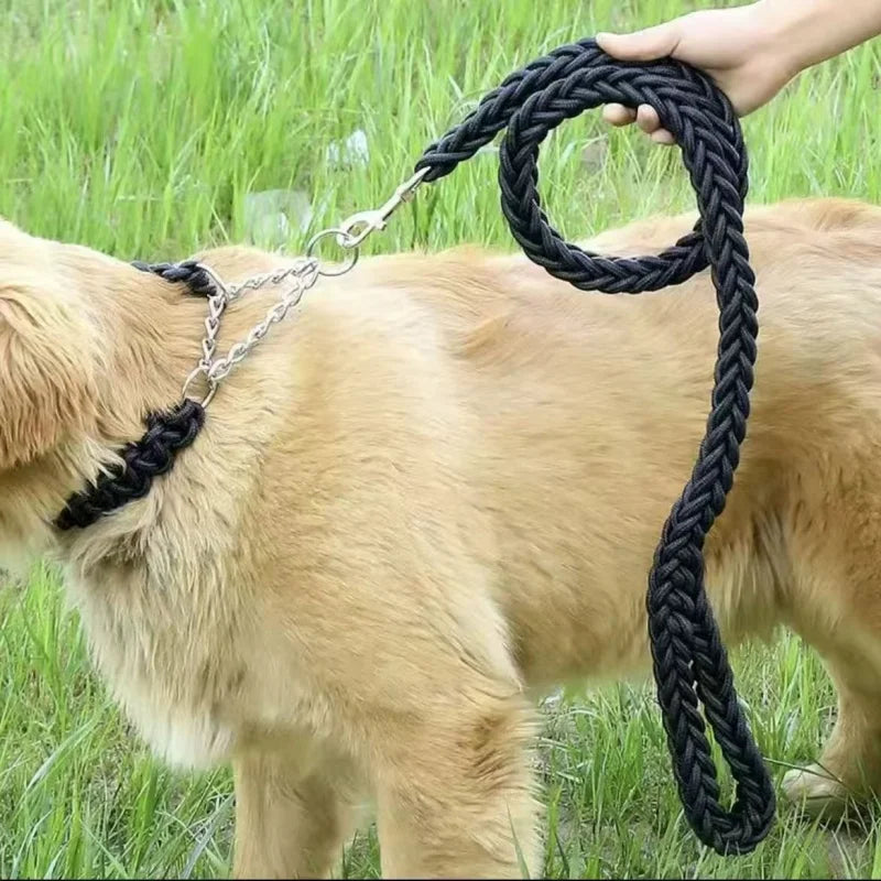 Heavy-Duty Nylon Dog Leash