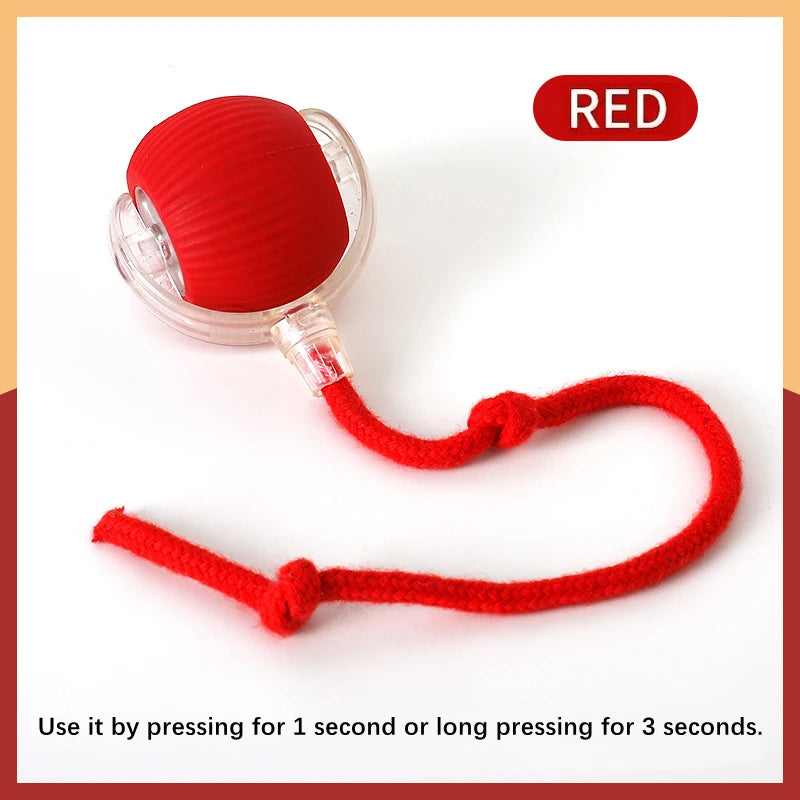 Interactive Smart Pet Toy Ball