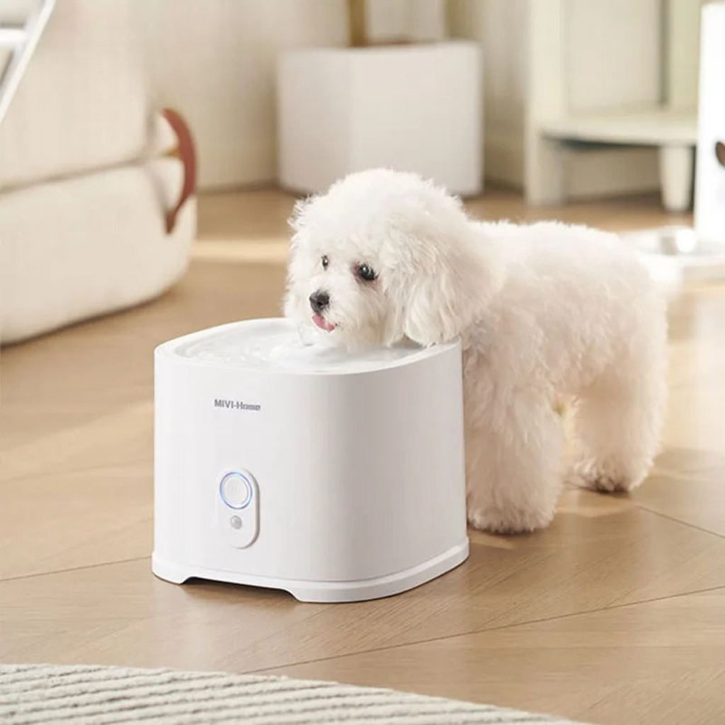 Rechargeable Pet Water Fountain