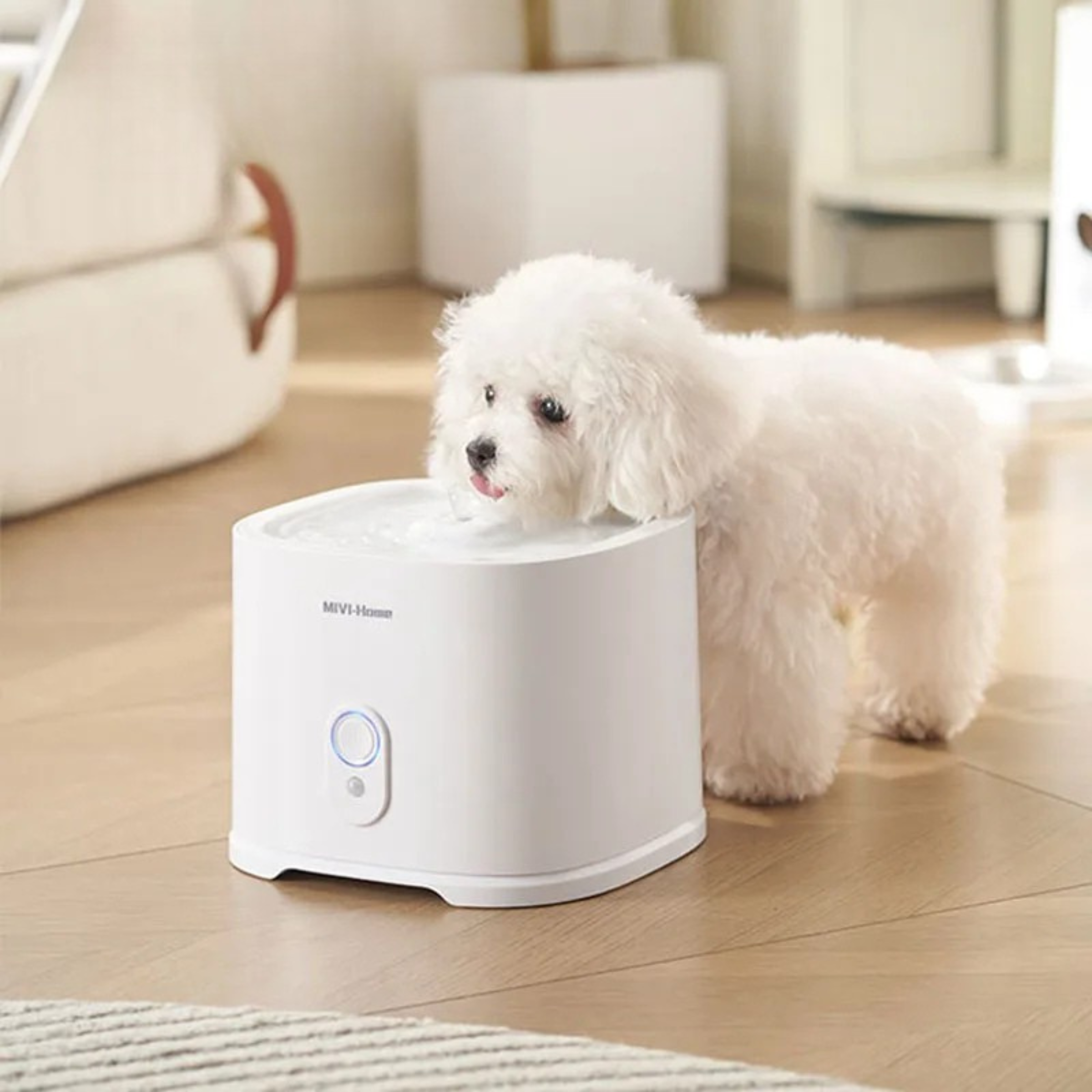 Rechargeable Pet Water Fountain